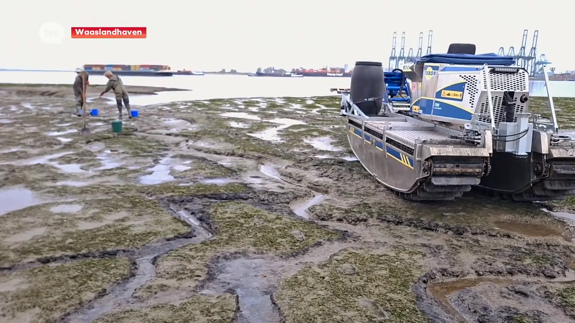 Hoofdafbeelding voor artikel Olievervuiling in Waaslandhaven…