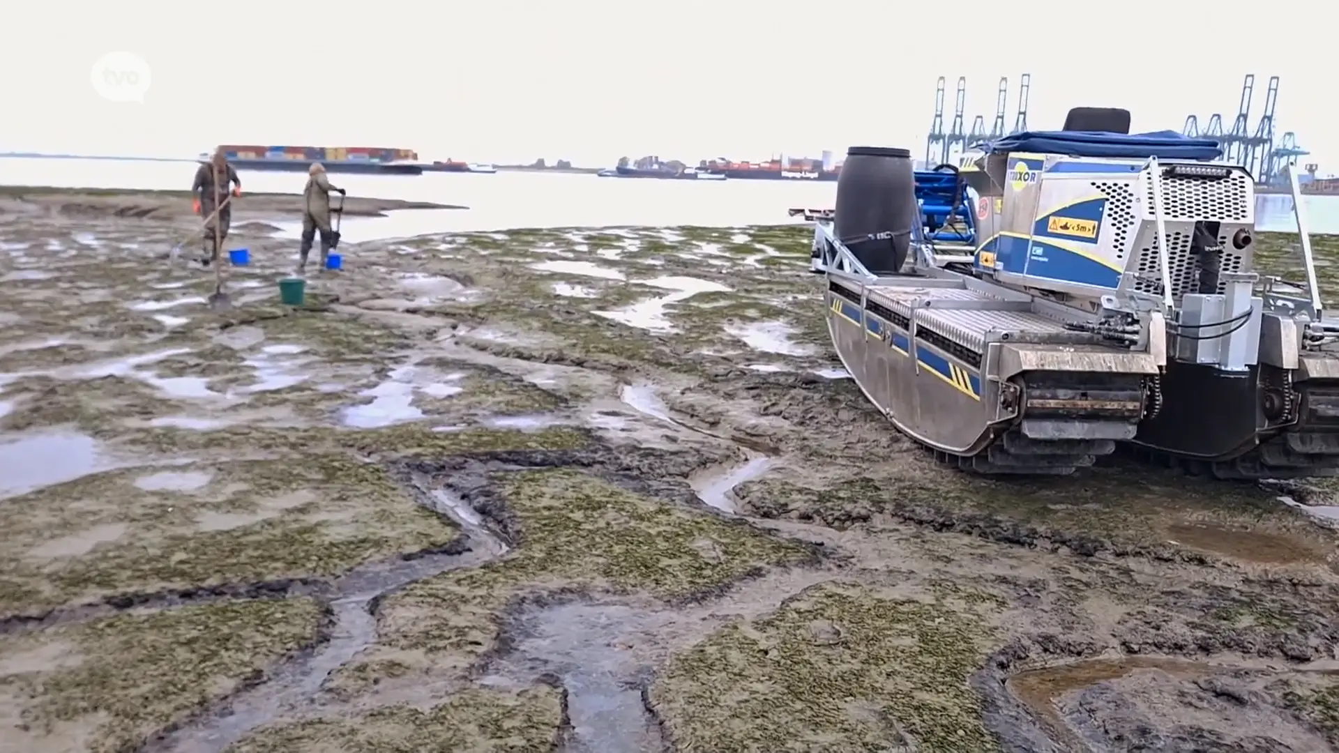 Dinsdag, na het springtij, meer duidelijkheid over de olievervuiling op de Schelde