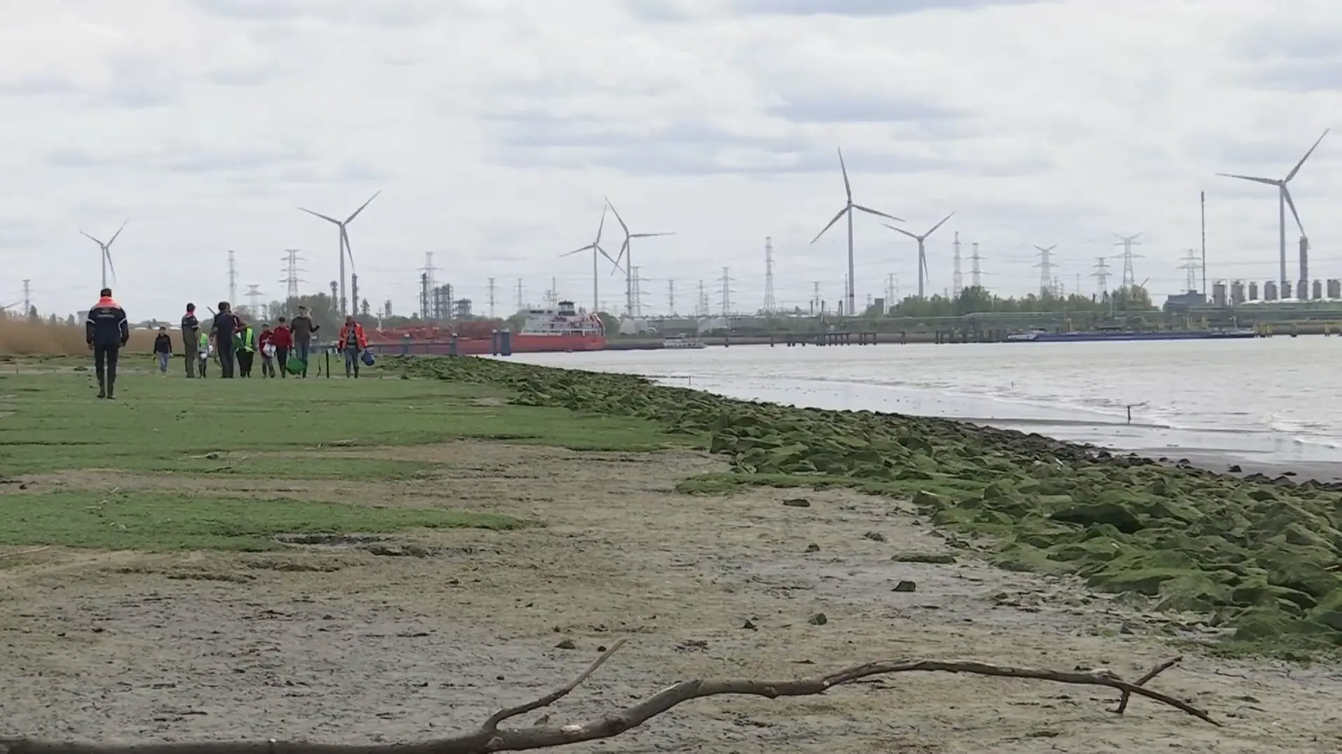 Hoofdafbeelding voor artikel Geen olievervuiling in riet…