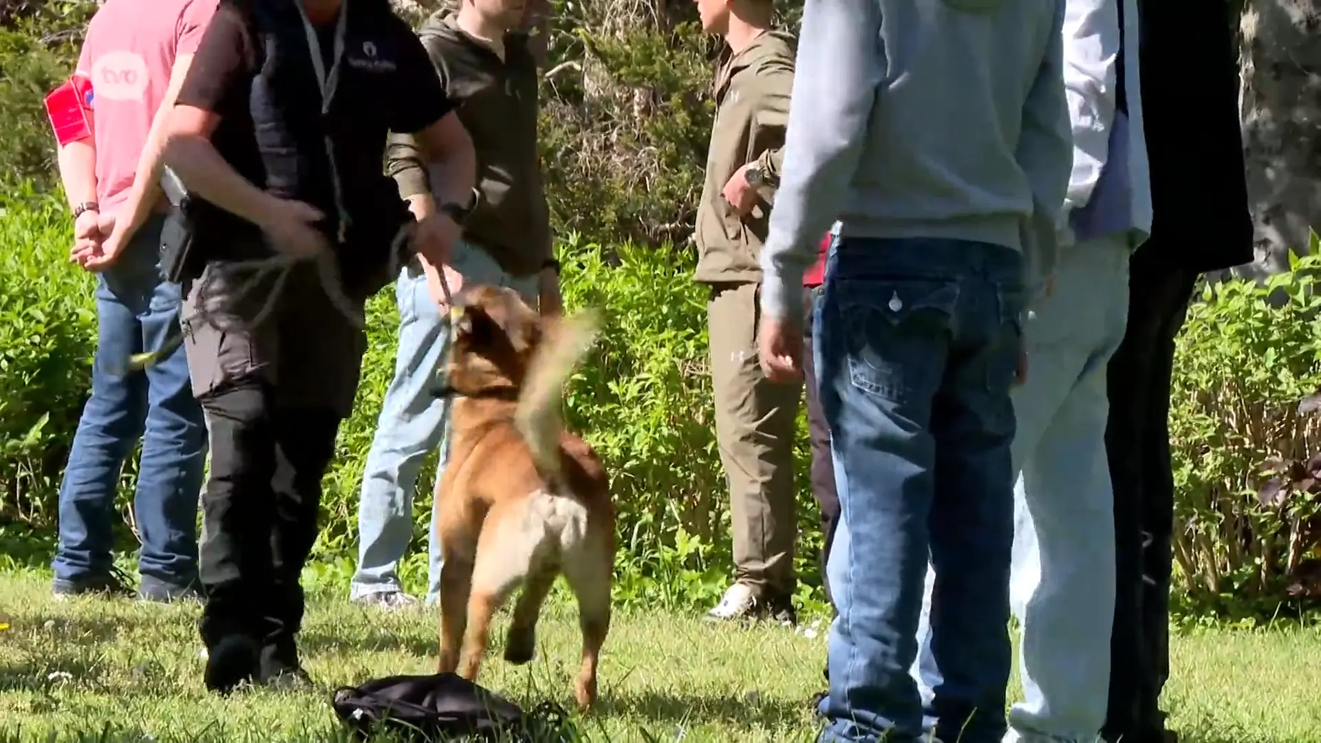 Vier jongeren opgepakt bij anti-overlastactie in Dendermondse stationsomgeving