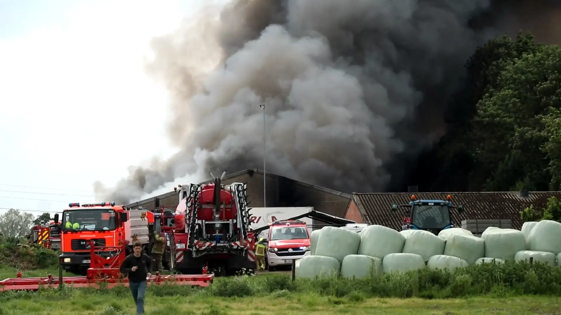 Hoofdafbeelding voor artikel Oorzaak van stalbrand in Temse…