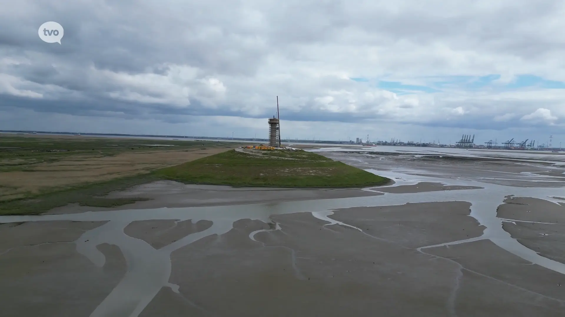 Hoofdafbeelding voor artikel Grenspark Groot Saeftinghe:…