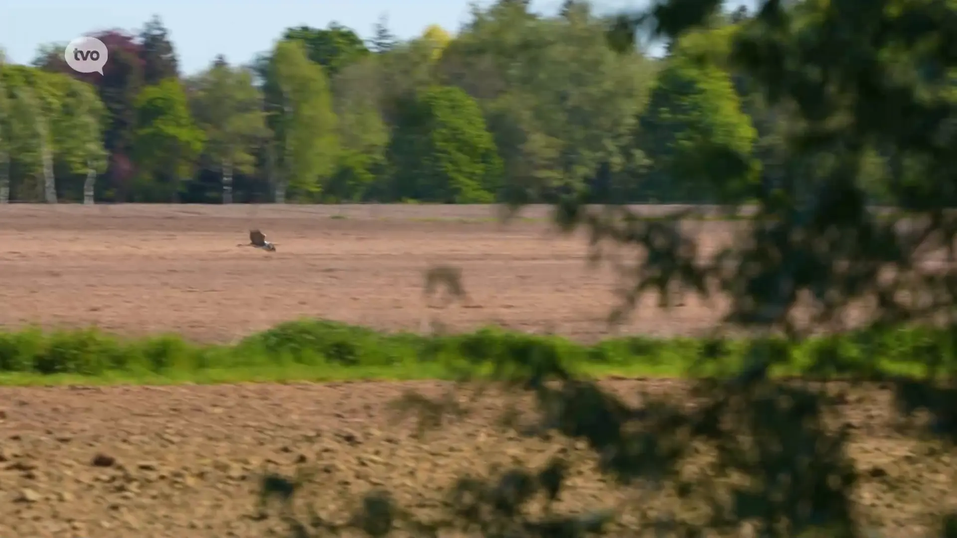 Hoofdafbeelding voor artikel TV Provincie: Trage wegen…