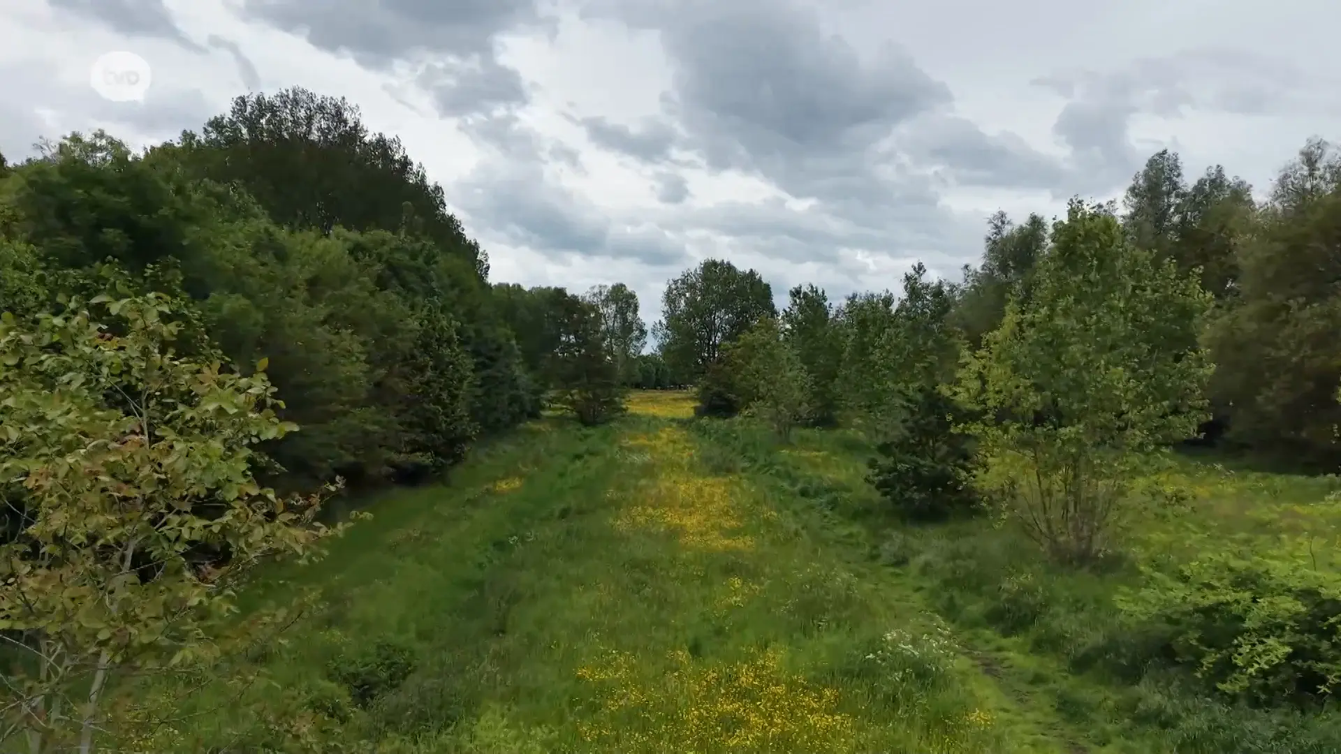 Hoofdafbeelding voor artikel Groen&Co: Gemeentebestuur…