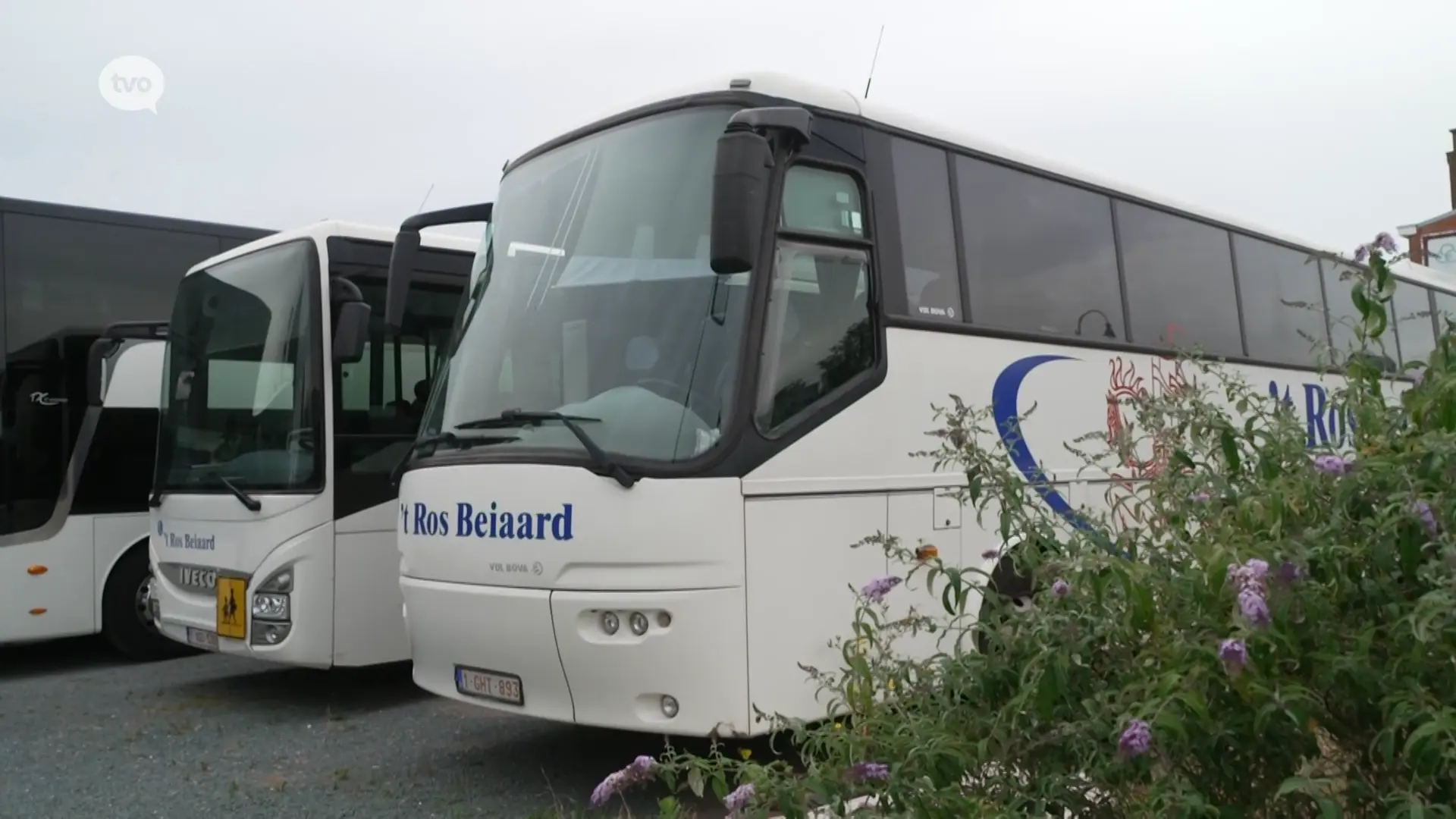Hoofdafbeelding voor artikel De Lijn over incident met…