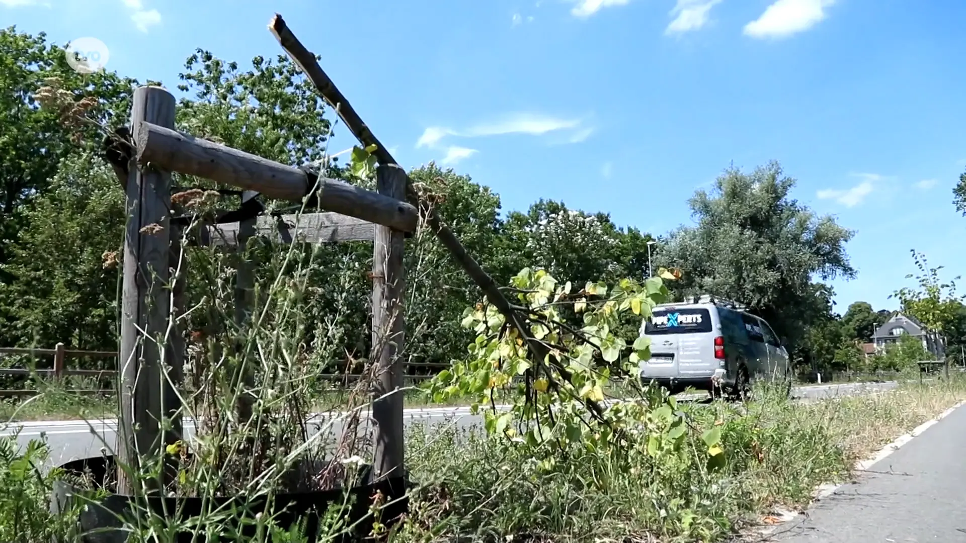 Hoofdafbeelding voor artikel Tiental jonge bomen vernield…