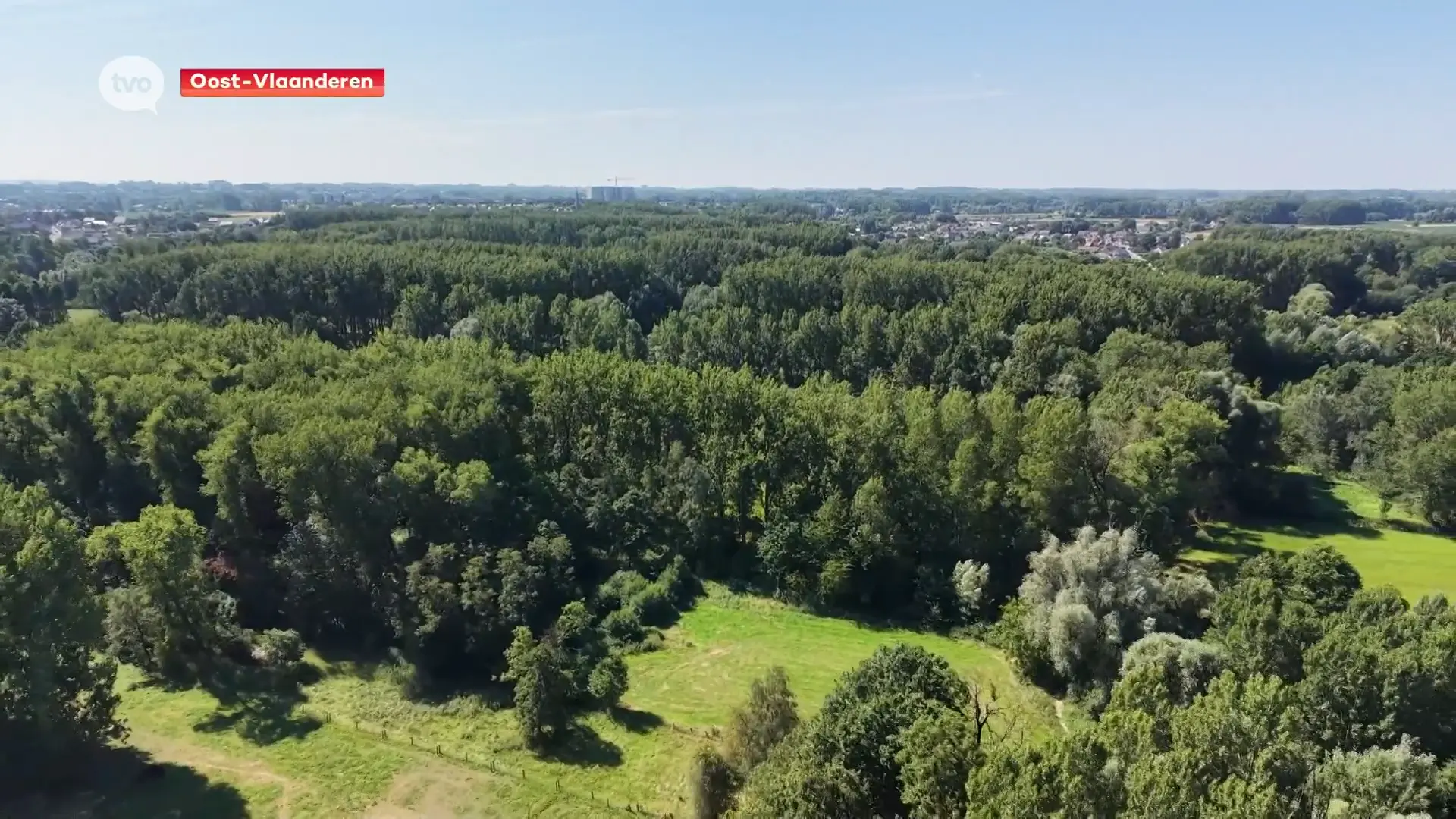 Hoofdafbeelding voor artikel Agentschap Natuur en Bos kondigt…