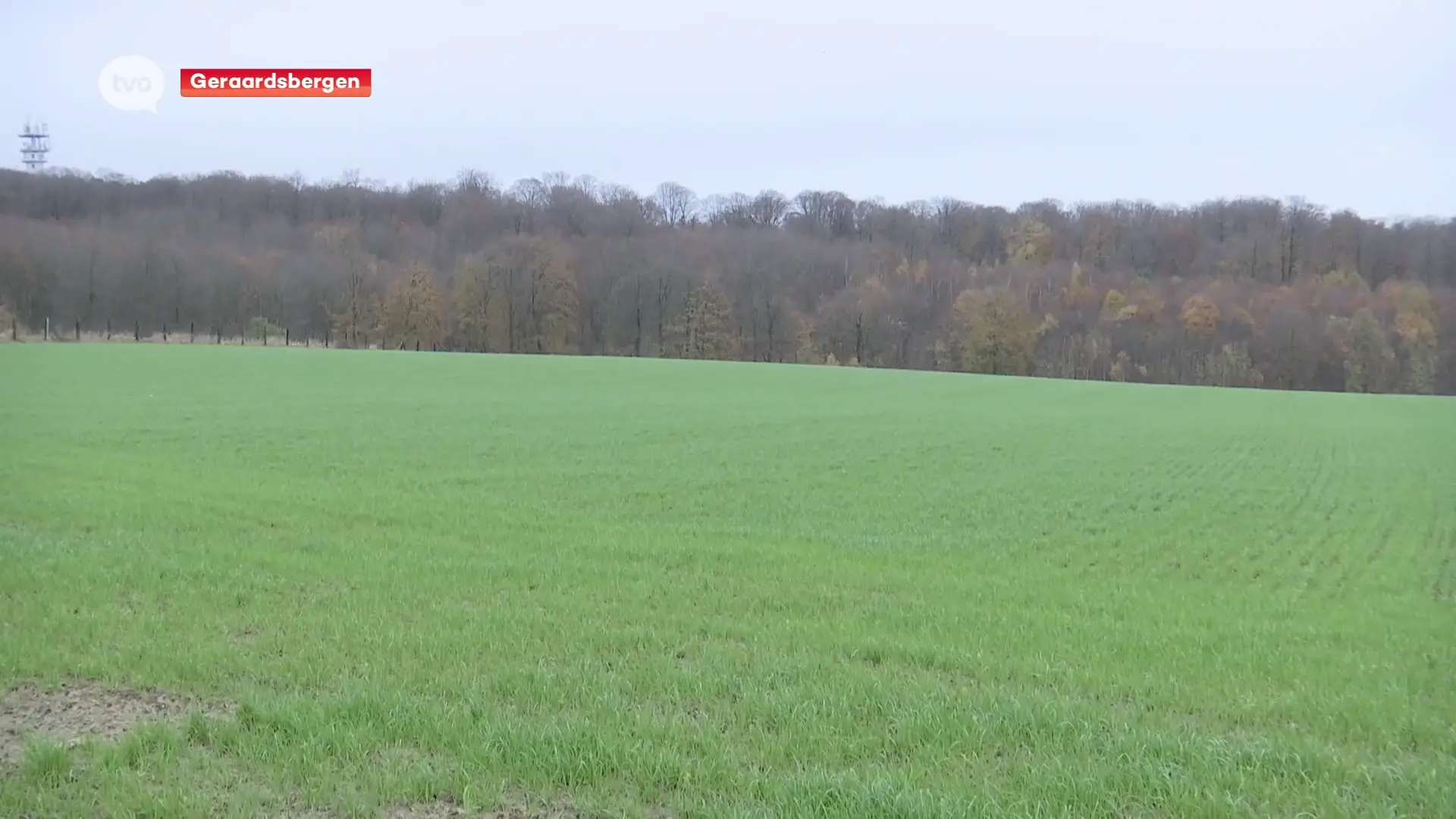 Hoofdafbeelding voor artikel Samenwerking tussen stad Geraardsbergen…