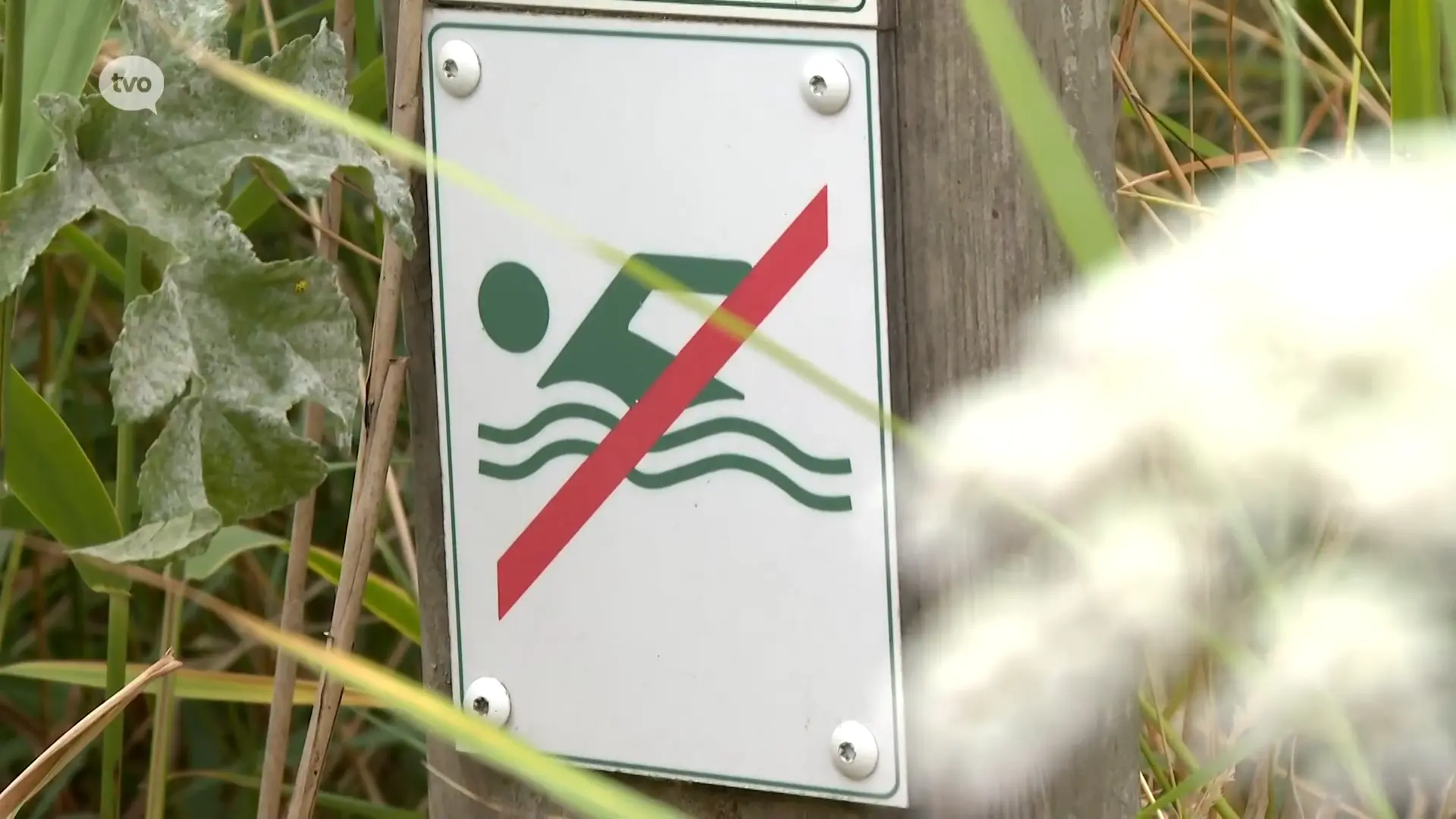 Hoofdafbeelding voor artikel Toegestaan openwaterzwemmen…