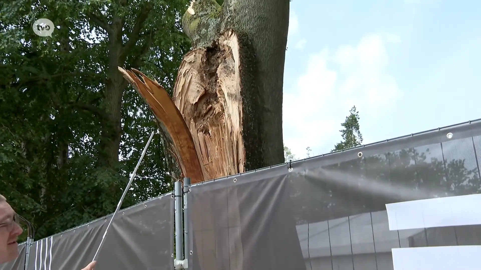 Hoofdafbeelding voor artikel Boom knakt af in park in Lokeren,…