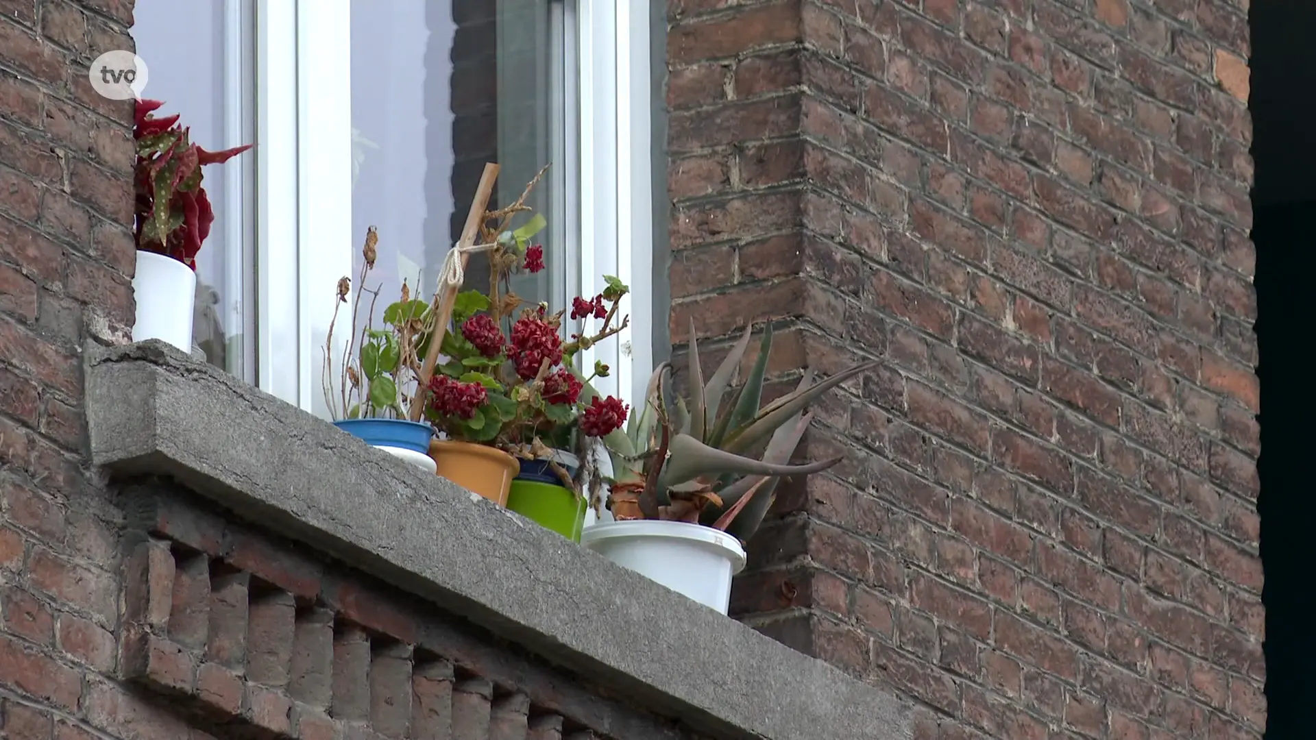 Hoofdafbeelding voor artikel TV Oost Nieuws van vrijdag…