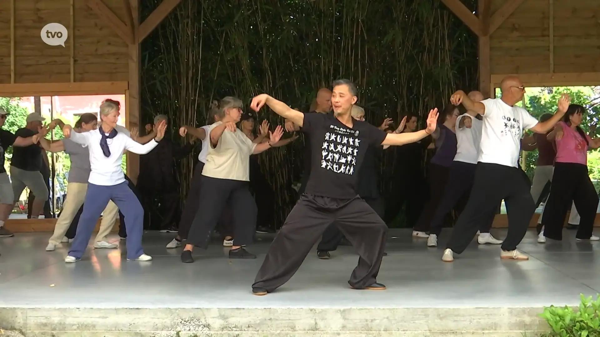 Hoofdafbeelding voor artikel Chinese Tai Chi-meester Chen…