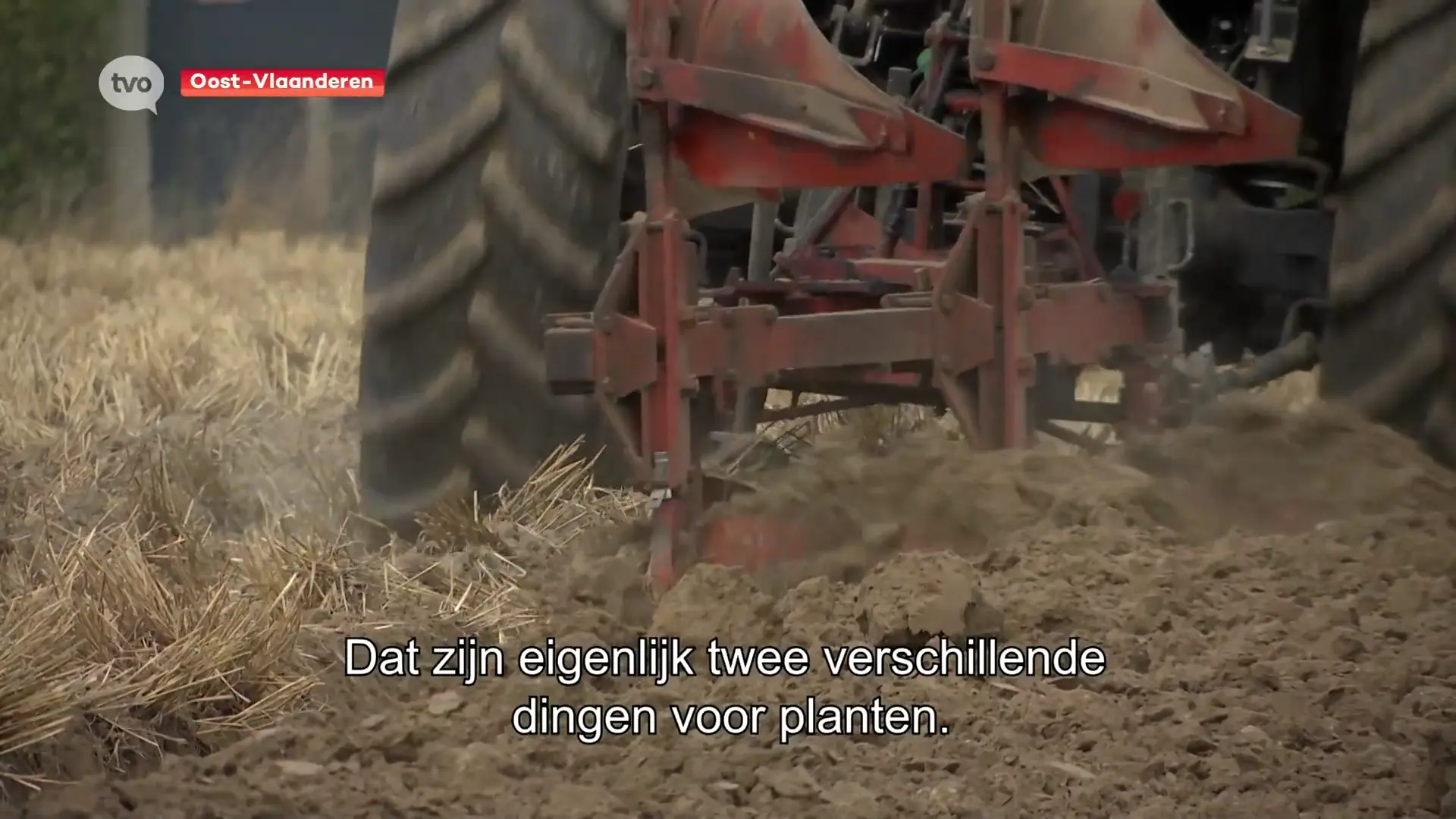 Hoofdafbeelding voor artikel ILVO over impact van hitte…
