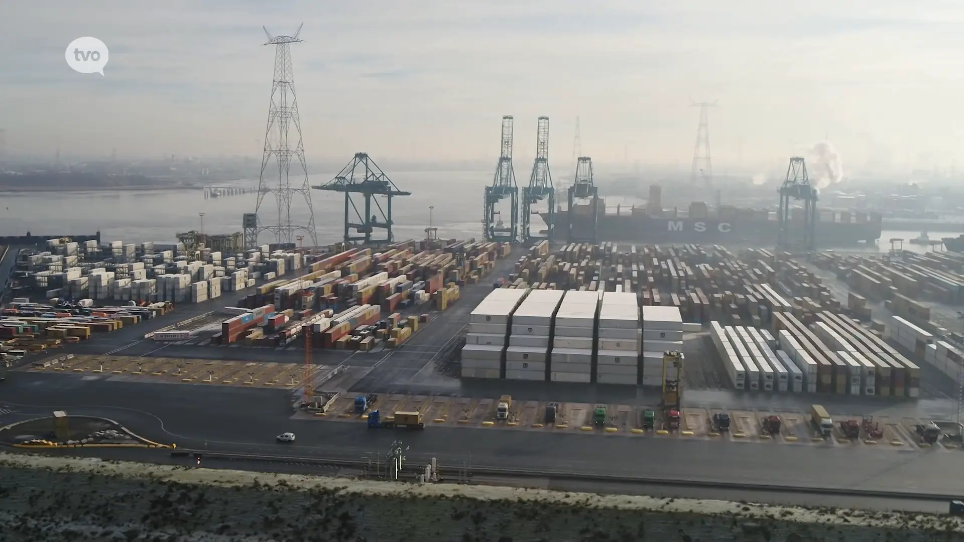 Hoofdafbeelding voor artikel Waaslandhaven trekt grote…
