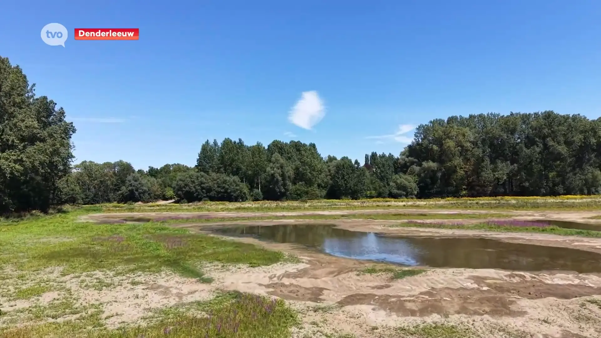 Hoofdafbeelding voor artikel Herstel natuurgebied Wellemeersen…