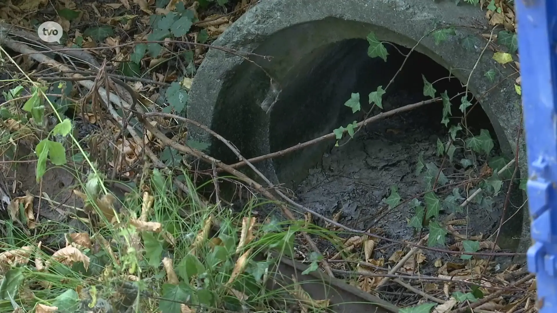 Vlaamse Milieumaatschappij: "Lage waterstanden stilaan bedreiging voor fauna en flora"