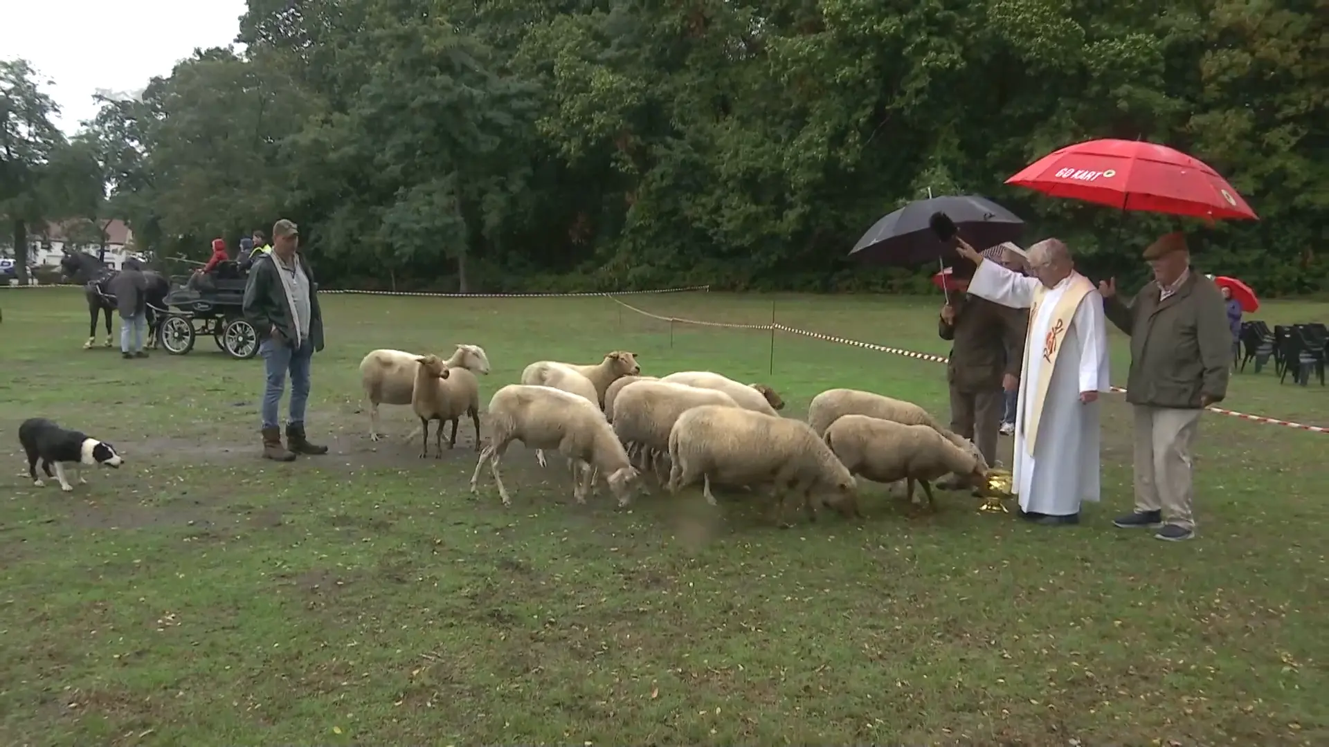Hoofdafbeelding voor artikel Traditionele zegening op Sint-Hubertusviering…