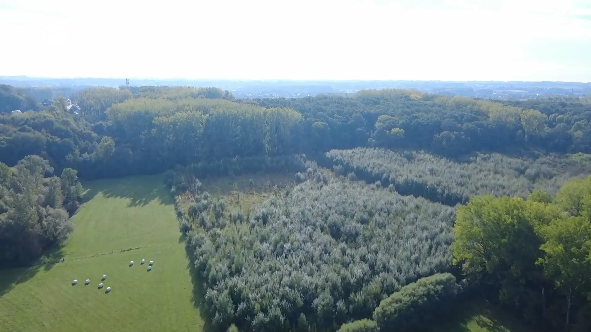 Hoofdafbeelding voor artikel Vlaamse Ardennen gebruikt…
