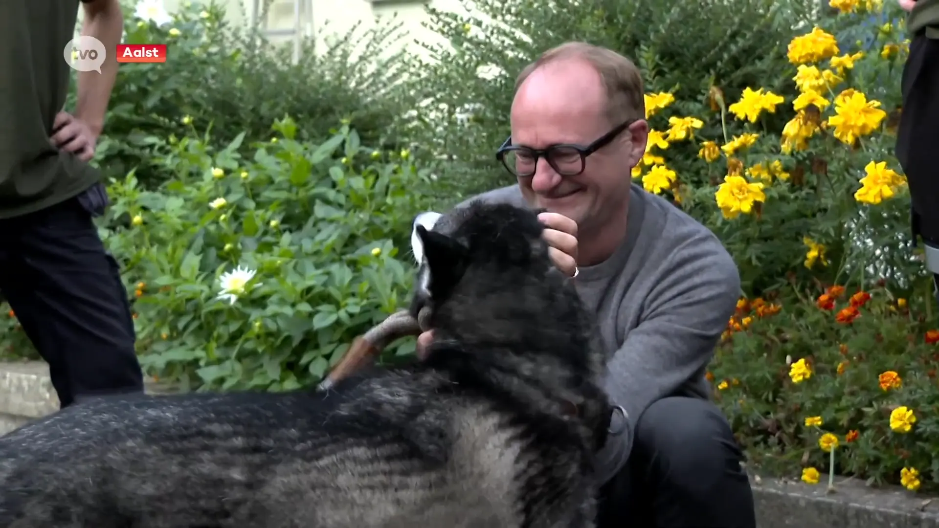Hoofdafbeelding voor artikel Husky Wolf is Asieldier van…