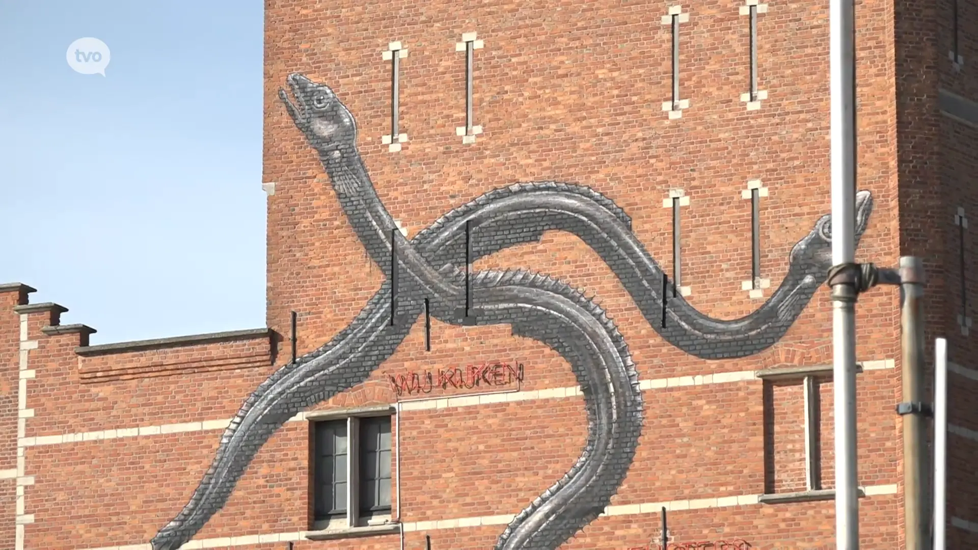 Hoofdafbeelding voor artikel Gigantische palingen prijken…