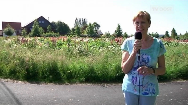 Weerbericht van 4 juni 2015