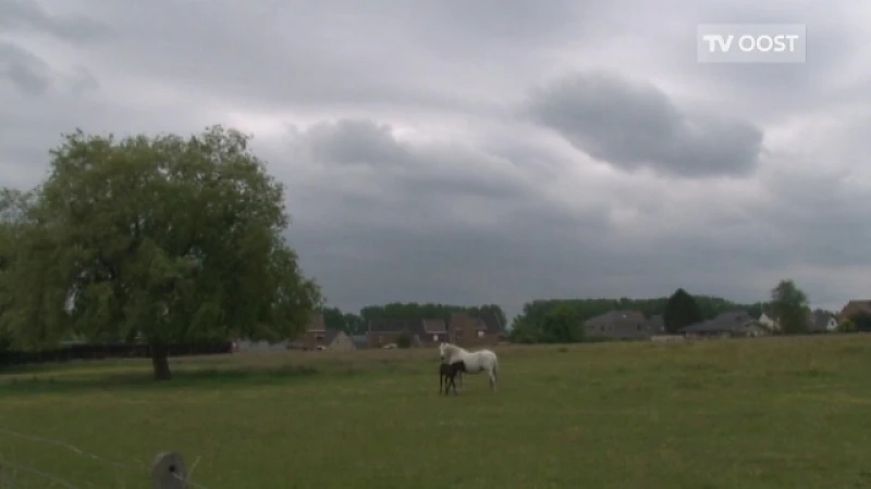 Weerbericht van 18 juni 2015