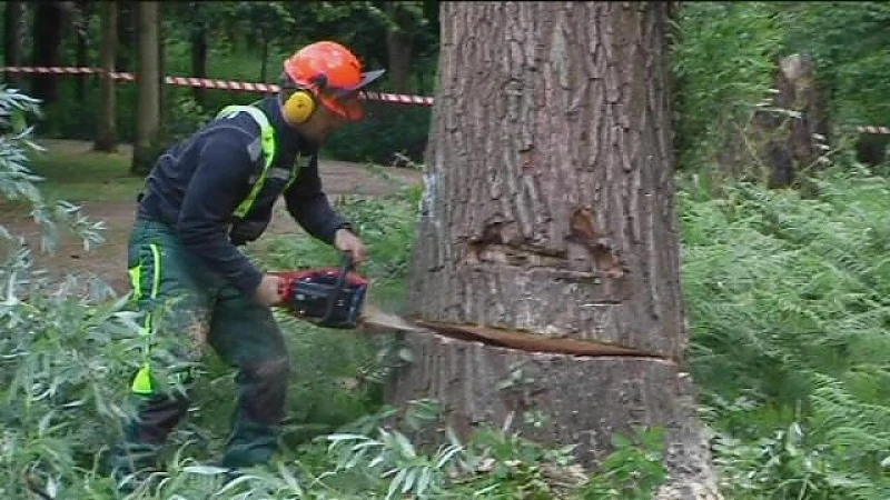 Park Provincial: aflevering 1 (deel 2)