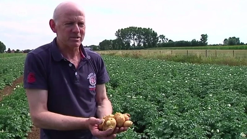 Melsele in top 4 van droogste plaatsen