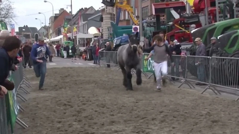 20ste keer Winterjaarmarkt brengt het beste van de afgelopen jaren