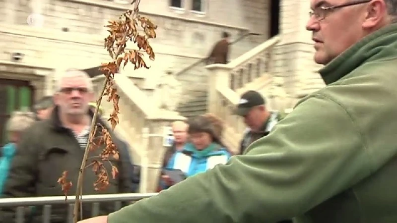 Stad Sint-Niklaas deelt bomen uit