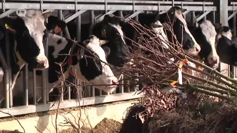 plattelandspret aflevering 18 december 2015