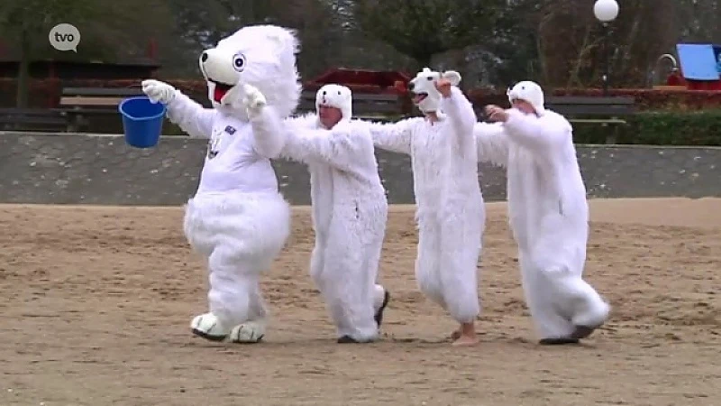 Sint-Niklaas TV: Wase nieuwjaarsduik