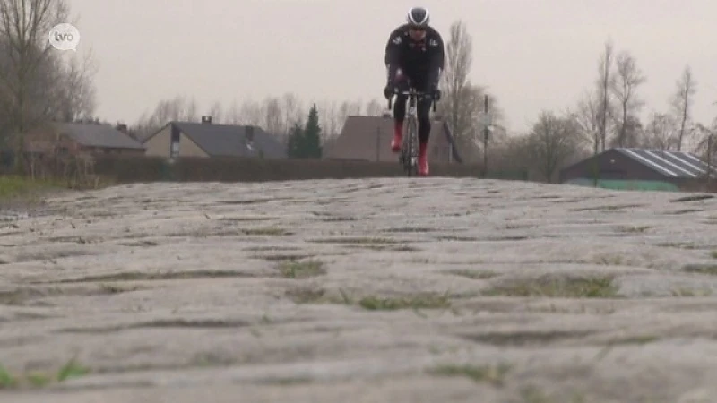 Ook streekrenners Tom Van Asbroeck en Oliver Naesen staan te popelen