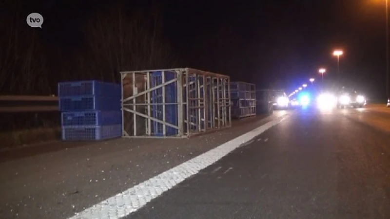 Vrachtwagen met kippenkooien kantelt op E17 in Zele