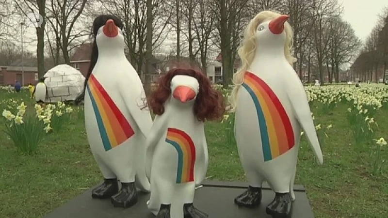 Nu ook pinguïns beschadigd op Den Dries in Opdorp
