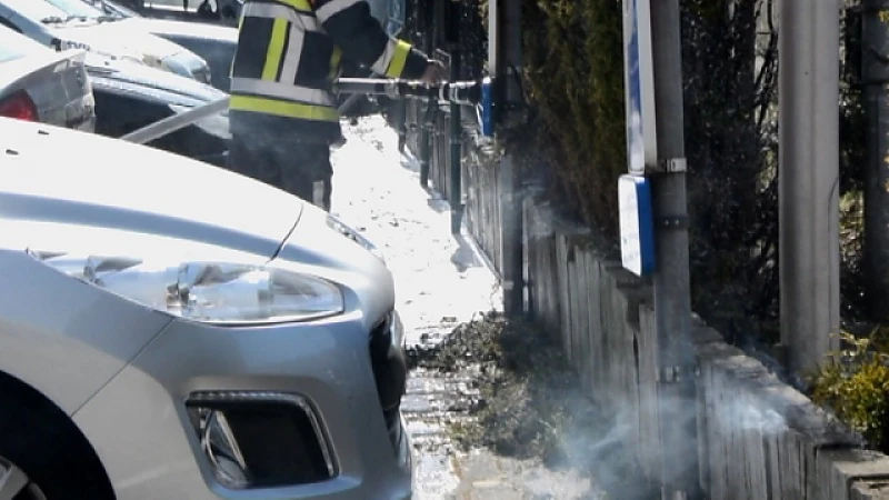 (VIDEO) Brand aan haag vernielt 11 voertuigen in Zottegem