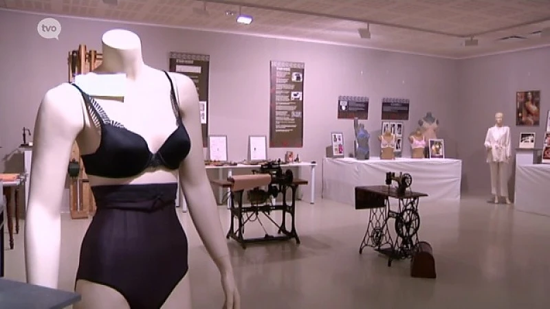 Hoofdafbeelding voor artikel Dag van den brei