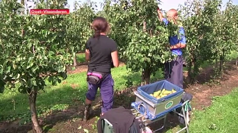 Federale regering werkt aan eerlijke concurrentie in land-en tuinbouwbedrijven