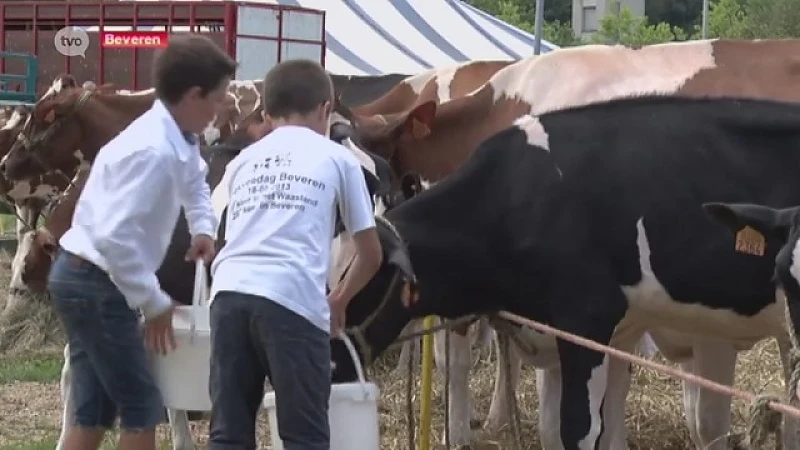 Melkprijzen zouden tegen eind dit jaar opnieuw gaan stijgen