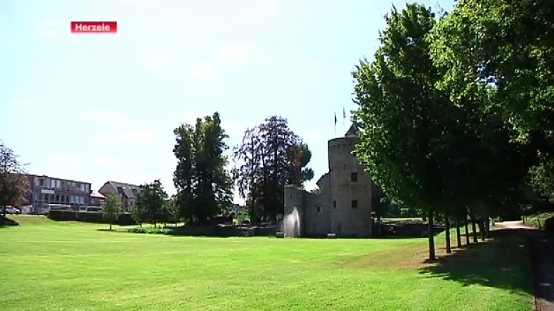 Vooruitblik naar Open Monumentendag: burchtruïne in Herzele