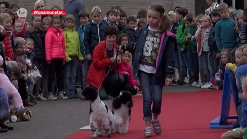 Sint-Franciscusschool Waasmunster rolt rode loper uit voor huisdieren