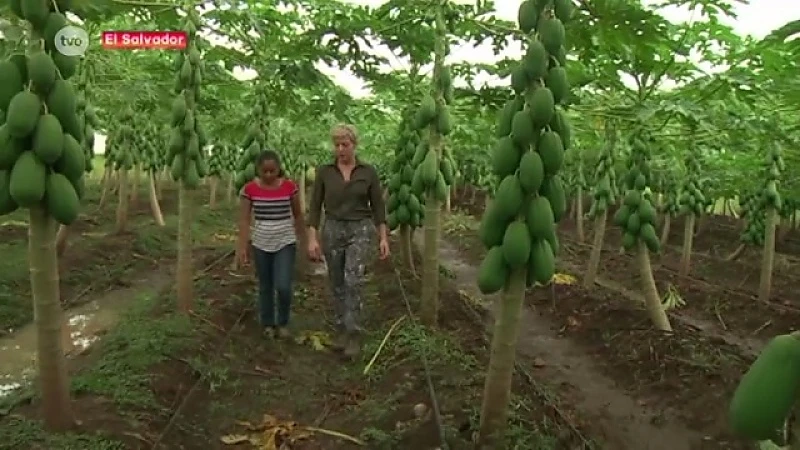 Huisarts uit Kemzeke op inleefreis in El Salvador, Deel 1