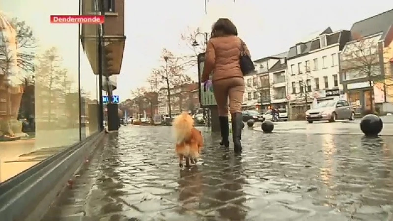 Helpen hondeneigenaars binnenkort boeven vangen in Dendermonde?