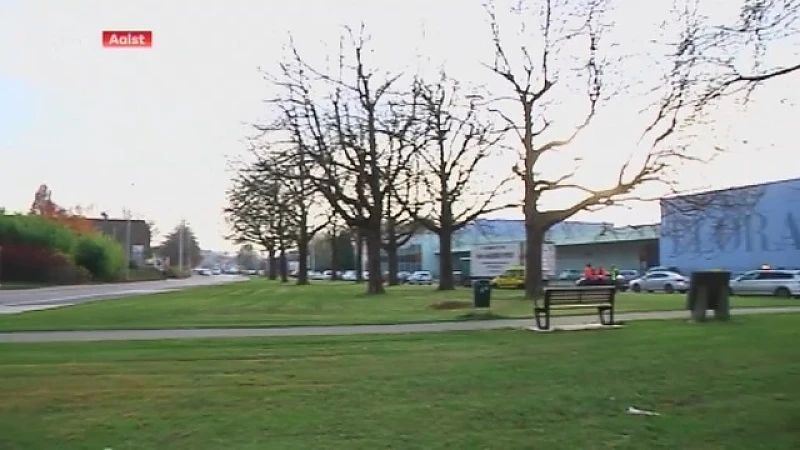 Zondag gaat ring rond Aalst dicht voor het rooien van bomen