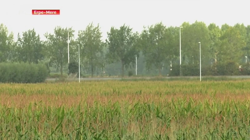 Deputatie weigert windmolens in Erpe-Mere