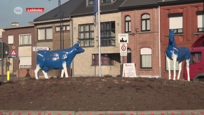 Paard en koe moeten weg voor Kerstmis in Lebbeke