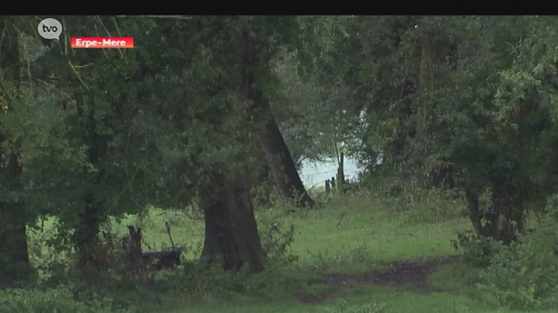 Blauwbos in Mere opnieuw gesloten na risico voor vallende bomen