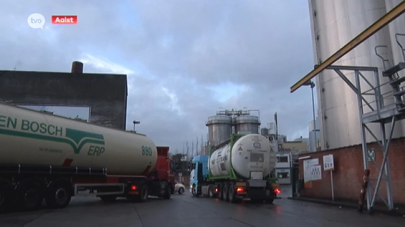 Hoofdafbeelding voor artikel 12 verstekelingen uit container…