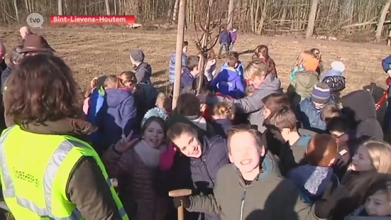 10.000 nieuwe bomen voor Cotthembos in Sint-Lievens-Houtem