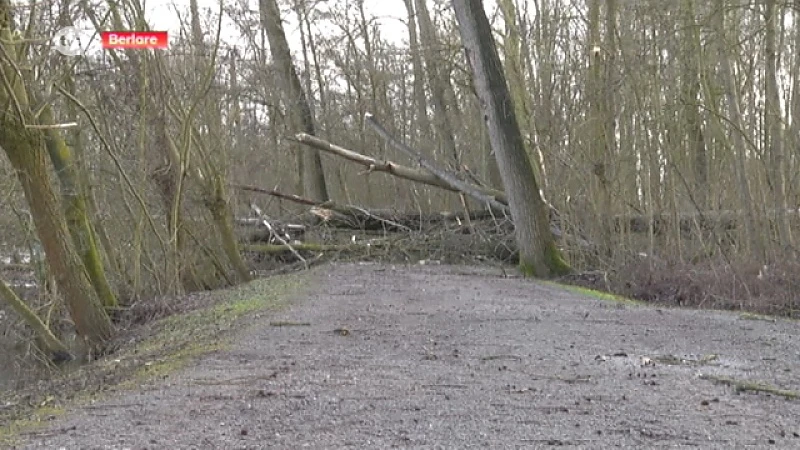 Heel wat openbare domeinen en parken gesloten vanwege stormweer